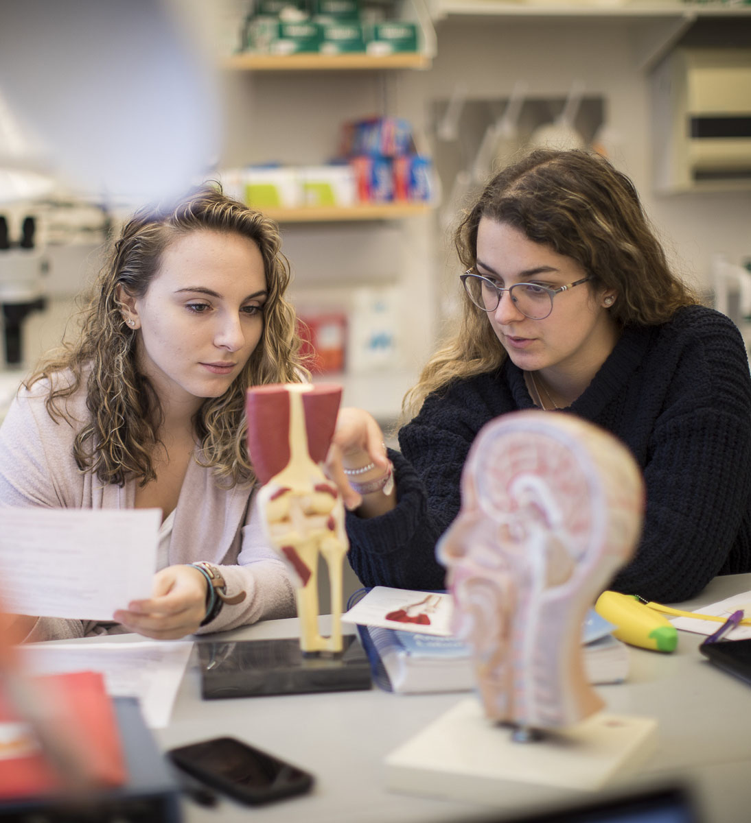 Emmanuel College students working in classroom together.